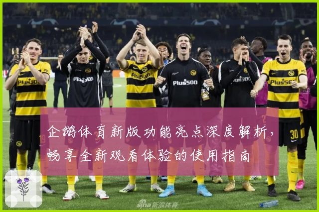 企鹅体育新版功能亮点深度解析，畅享全新观看体验的使用指南