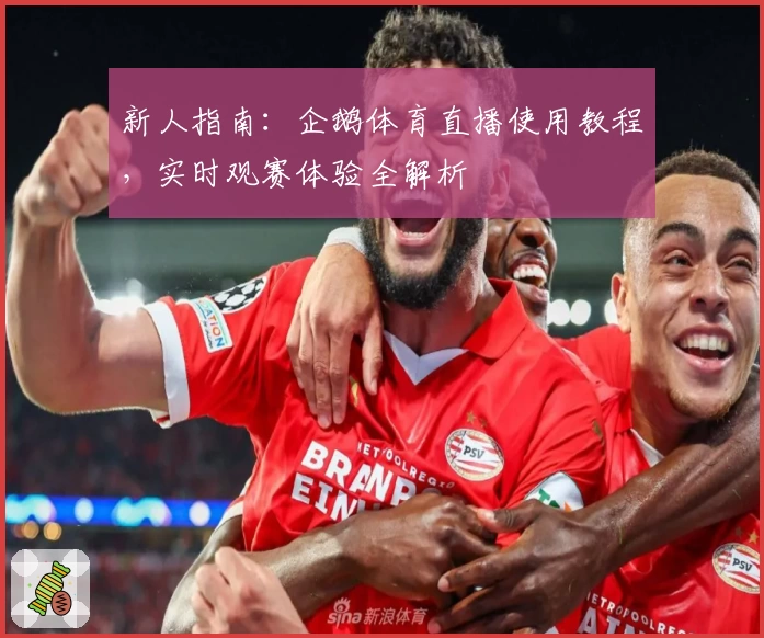 新人指南：企鹅体育直播使用教程，实时观赛体验全解析