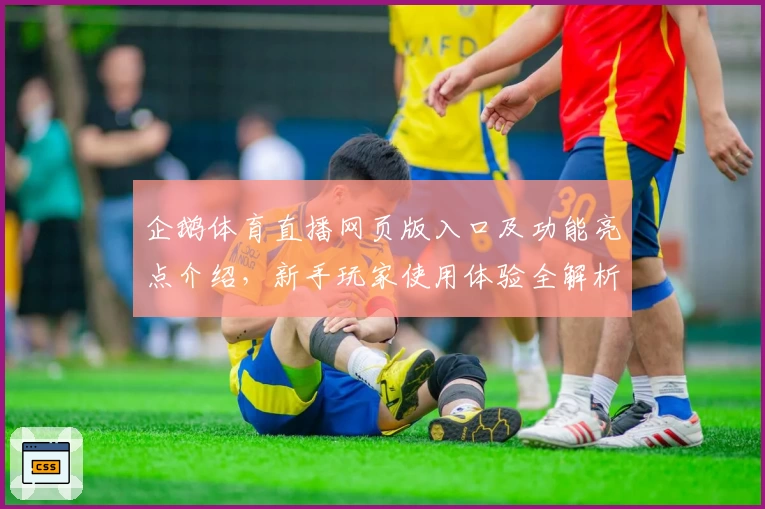 企鹅体育直播网页版入口及功能亮点介绍,新手玩家使用体验全解析