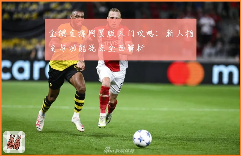 企鹅直播网页版入门攻略：新人指南与功能亮点全面解析