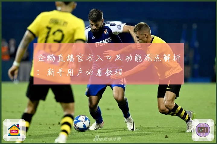 企鹅直播官方入口及功能亮点解析：新手用户必看教程