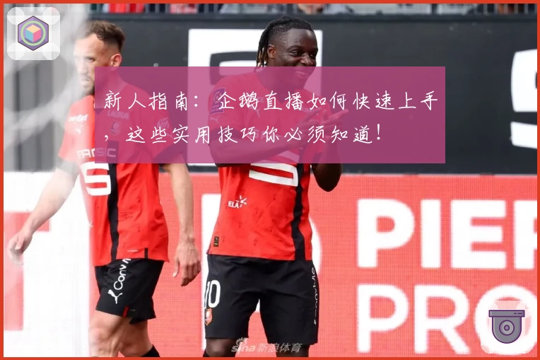 新人指南：企鹅直播如何快速上手，这些实用技巧你必须知道！