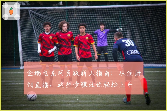 企鹅电竞网页版新人指南：从注册到直播，这些步骤让你轻松上手