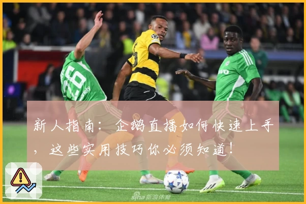 新人指南:企鹅直播如何快速上手,这些实用技巧你必须知道!