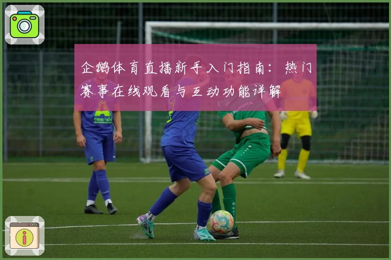 企鹅体育直播新手入门指南：热门赛事在线观看与互动功能详解