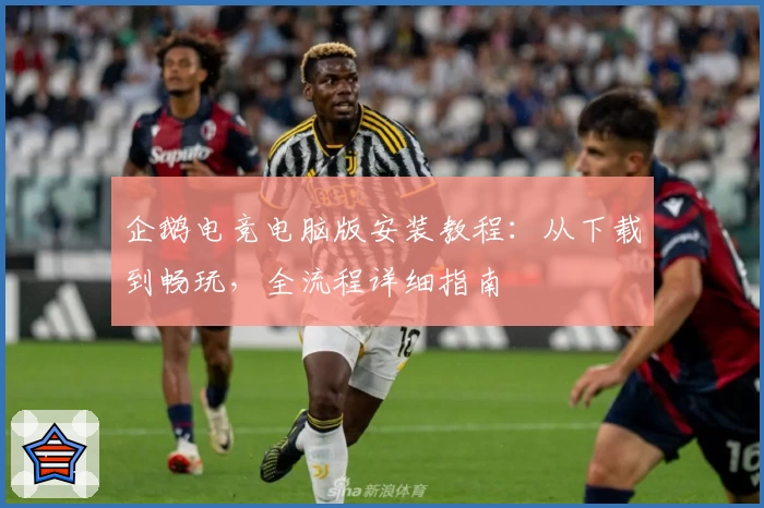 企鹅电竞电脑版安装教程：从下载到畅玩，全流程详细指南