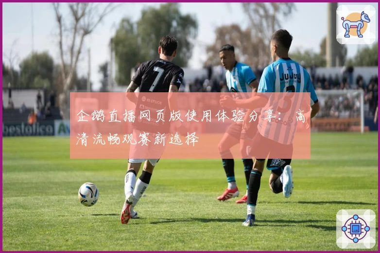 企鹅直播网页版使用体验分享：高清流畅观赛新选择