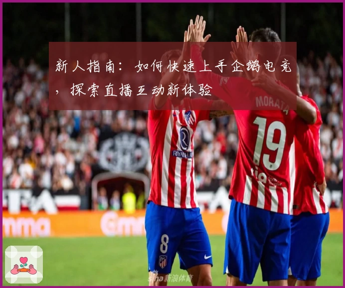 新人指南:如何快速上手企鹅电竞,探索直播互动新体验