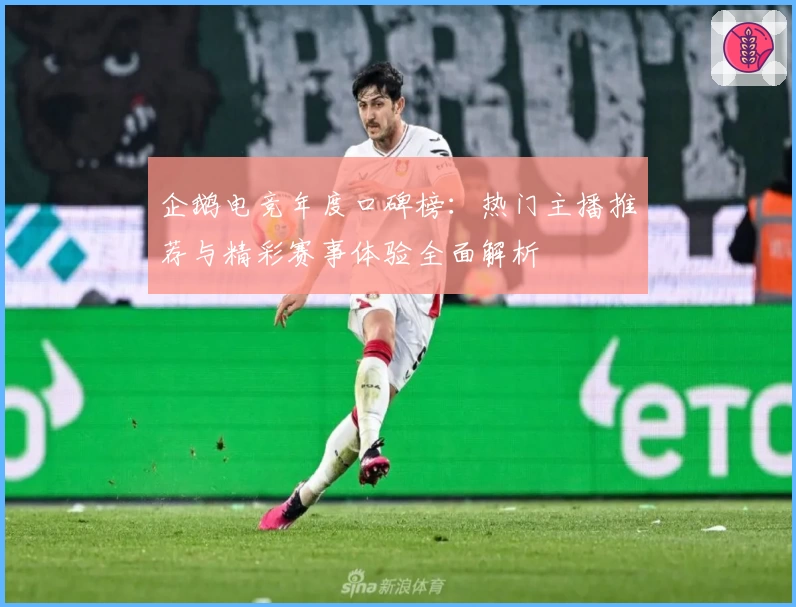 企鹅电竞年度口碑榜：热门主播推荐与精彩赛事体验全面解析