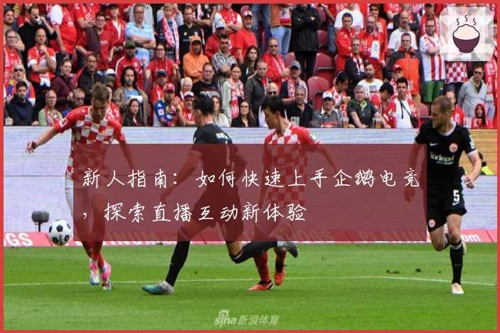 新人指南:如何快速上手企鹅电竞,探索直播互动新体验