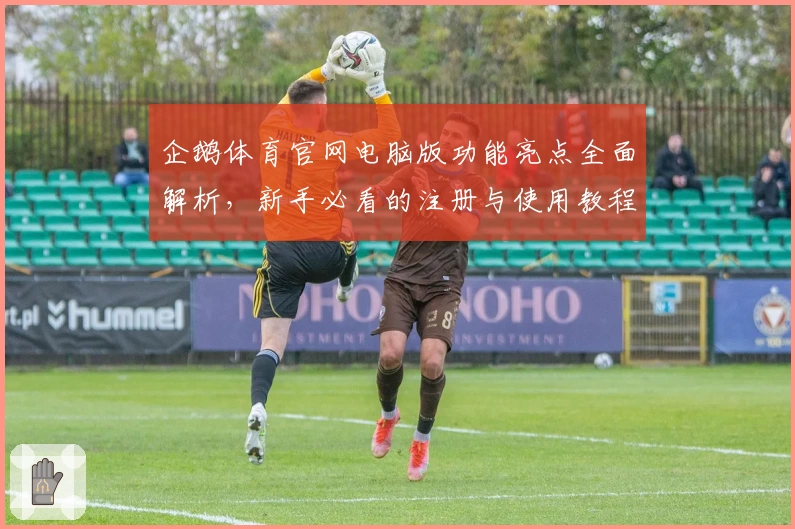 企鹅体育官网电脑版功能亮点全面解析，新手必看的注册与使用教程