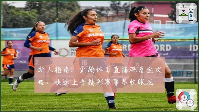 新人指南：企鹅体育直播观看全攻略，快速上手精彩赛事尽收眼底