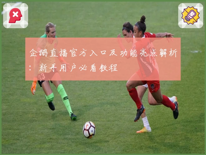 企鹅直播官方入口及功能亮点解析:新手用户必看教程