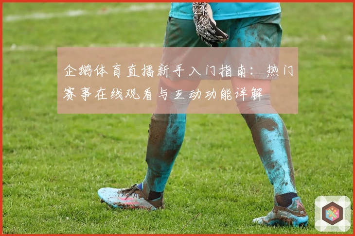 企鹅体育直播新手入门指南：热门赛事在线观看与互动功能详解